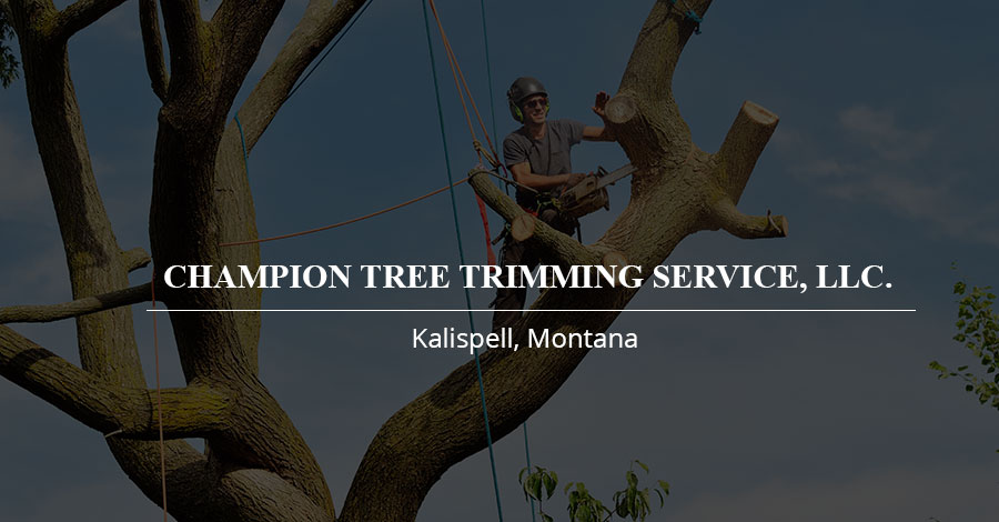 Bush Removal Service Los Angeles County, CA